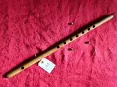 2025年最新】篠竹 女竹の人気アイテム - メルカリ