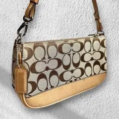 2026年最新】COACH コーチ シグネチャーアクセサリーポーチの人気