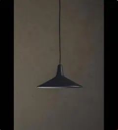 flame ペンダントライト flare black