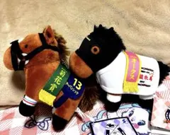 サラブレッドコレクション　第73回優駿牝馬　ジェンティルドンナ　アーバンシック