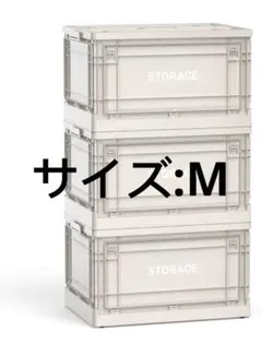 Item thumbnail for item 6b1e23a0-4953-4fa8-bdc9-c452c0d33f41