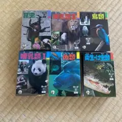 動物カード百科事典 セット