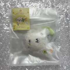 NCT WISH POCKET WISH DOLL リョウ 公式 リョンリョン - メルカリ
