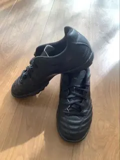 Mizuno Monarcida neo 22.0 中古　モナルシーダネオ