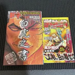 Item thumbnail for item 38864b89-68f2-47bd-aecc-305284872787