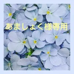 あましょく様専用