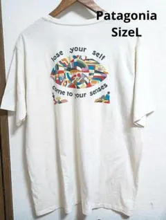 美品　パタゴニア Tシャツハワイ限定 ハワイ 新作 パタロハ 日本未発売　L