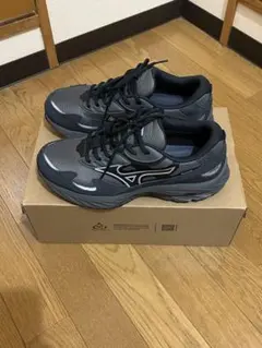 【定価以下！】MIZUNO（ミズノ） ウェーブ ライダー ベータ ゴアテックス