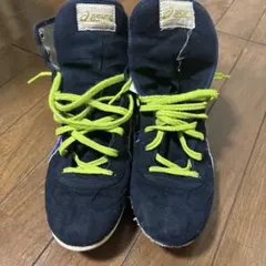 レスリングシューズオーダーシューズ 旧デザイン 廃盤モデル 24.0 お