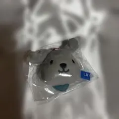 Item thumbnail for item 6a9d5f6b-911b-4419-8054-680543759f80