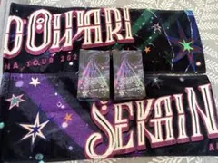 SEKAINOOWARI セカオワ グッズ ツアー スターライトリング タオル