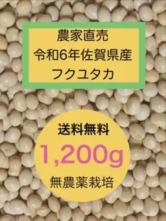 2026年最新】大豆 フクユタカの人気アイテム - メルカリ