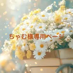 ちゃむ様専用ページ