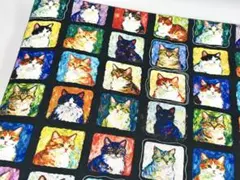 綿プリント生地 幅110cmx1mカラフルな猫のポートレート 黒地2422