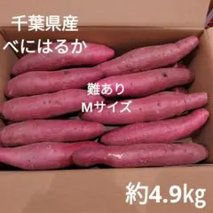 41 難あり　千葉県産　べにはるか　さつまいも　サツマイモ　Mサイズ　約4.9㎏