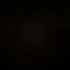 ココミコ様専用