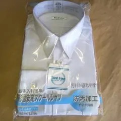 Item thumbnail for item 145377f7-20ce-431a-890c-3c3bbdb00e4e