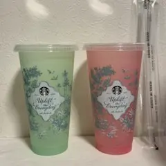 ミステリーカラーチェンジングリユーザブルコールドカップ グリーン&ピンク