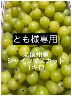 【とも様専用】長野県産シャインマスカット 1キロ