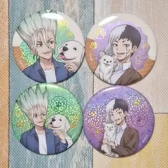 Dr.STONE きらきら缶バッジコレクション 石神千空 あさぎりゲン