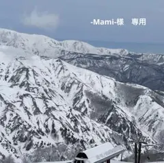 -Mami-様　専用　ハンドメイド