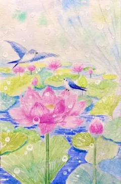 Kappy様専用水彩画 紫陽花と小鳥さんの出会い 値段は※900円です - メルカリ