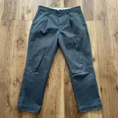 vainl archive DICKIES LIVE-PT-MDのサムネイル