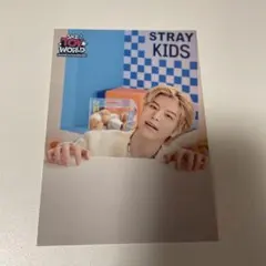 Stray Kids スンミン ラントレ TOYWORLD