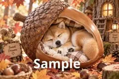 どんぐりベッドで眠る柴犬 デジタルアート イラスト