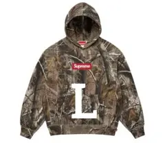 Supreme Box Logo Hooded Sweatshirt camo