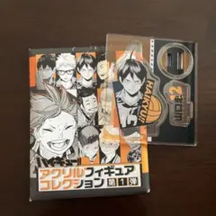 【即購入⭕️】ハイキュー!! アクリルフィギュア コレクション 第1弾 山口忠