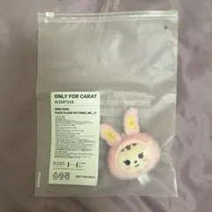 SEVENTEEN サノク キーリング トラム