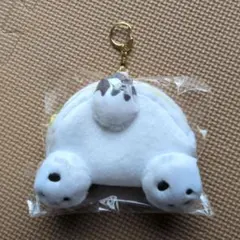 ポチャッコ おしりポーチ サンリオ サンリオキャラクターズ