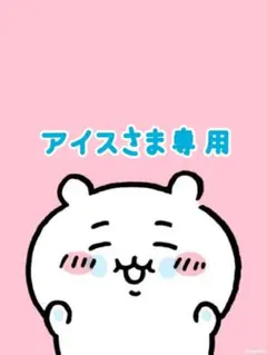 アイス(プロフィ読んでね)さま専用です♡♡