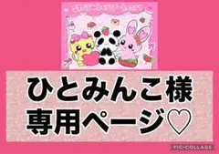 ひとみんこ様。専用ページ