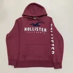 HOLLISTER パーカー