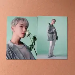 SEVENTEEN セブチ HANABI ホシ トレカ