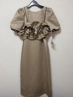 Wavy frill bustier stripe dress LE'RUREのサムネイル
