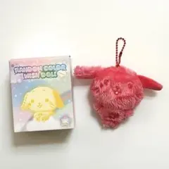 NCT WISH リョウ COLOR WISH DOLL レッド 赤 MD
