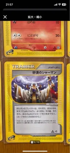 はるじおん様専用　砂漠のシャーマンのみ