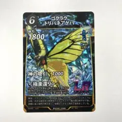 2026年最新】ゴクラクトリバネアゲハの人気アイテム - メルカリ