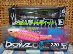 ガラパゴス ルアー グレイス 210L メルティスノー 限定カラー - メルカリ