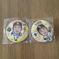 ソフトバンクホークス 若鷹ガチャ 藤井皓哉 48