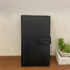 Item thumbnail for item 205fdb9d-9eb3-4b68-89dc-fda168271f1f