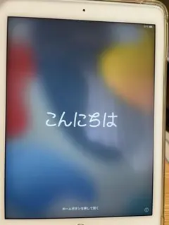 ジャンク】iPad pro 10.5インチ 256GB Apple 本体のみ - メルカリ