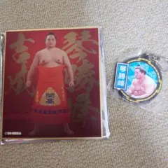 Item thumbnail for item c1b1b7f1-e26f-4bf4-9dd2-633a81515d1c