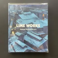 【愛読者カード付き初版第１刷】畠山直哉『LIME WORKS』シナジー幾何学刊 LIME WORKS ライム・ワークス / 畠山直哉 | 百年