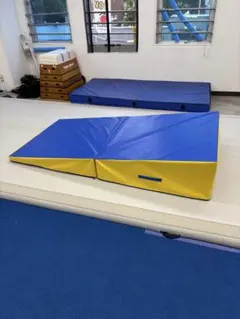 シバトレマット20×40㎝ 15枚 - メルカリ