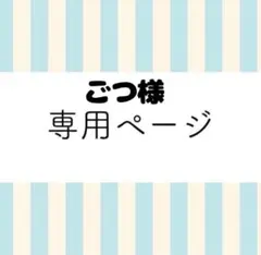 【ごつ様専用出品】