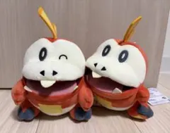 ホゲータ ぬいぐるみ 2点セット